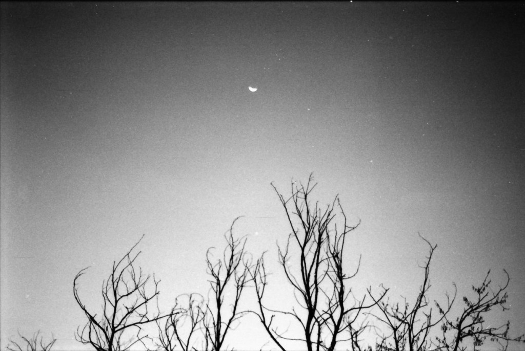 Day 003 — Aurora — Night Study&nbsp;1